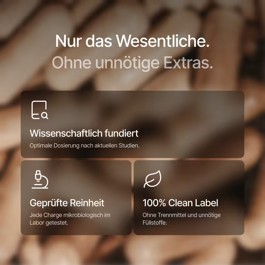 Schlaf Komplex